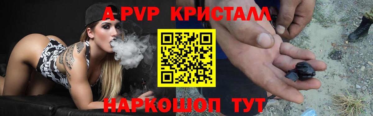 Альфа ПВП СК Славгород